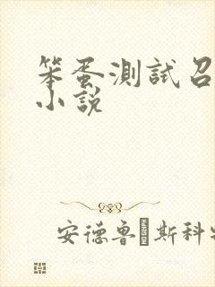 笨蛋测试召唤兽小说
