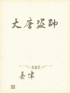 大唐盗帅