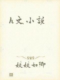 h文小说