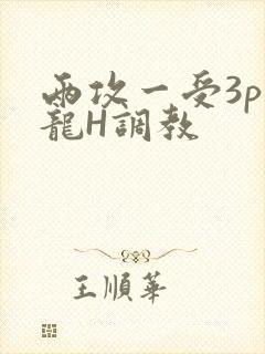两攻一受3p双龙H调教