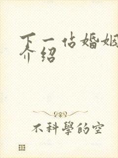 下一站婚姻剧情介绍