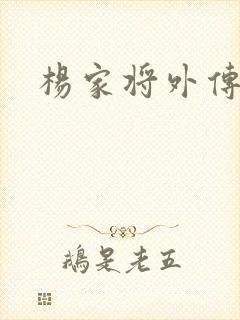 杨家将外传封面