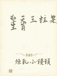 擎天玉柱是什么生肖封面