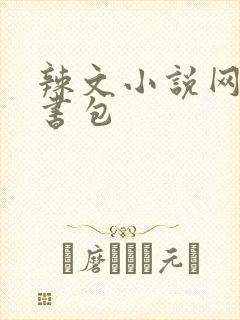 辣文小说网第二书包