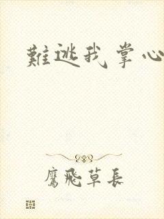 难逃我掌心