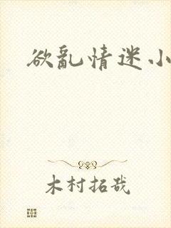 欲乱情迷小说