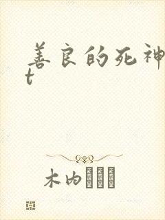 善良的死神txt