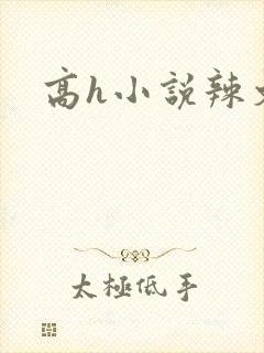 高h小说辣文