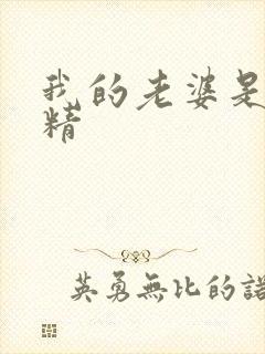 我的老婆是狐狸精封面