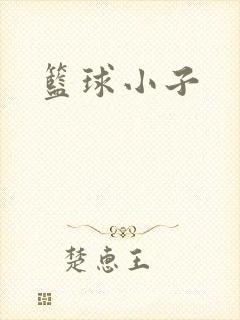 篮球小子
