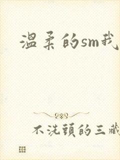 温柔的sm我封面