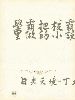 学霸把校霸往死里做的小说