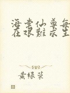 海棠仙尊每天都在艰难求生