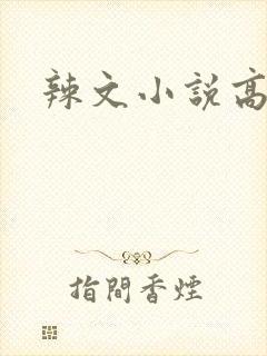 辣文小说高h