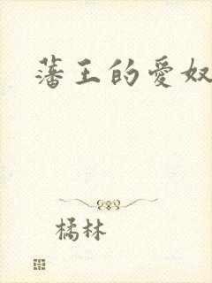 藩王的爱奴