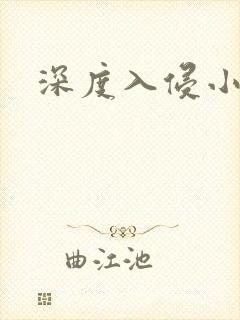 深度入侵小说封面