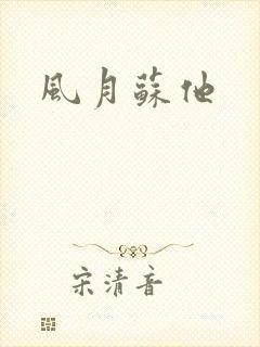 风月苏他封面