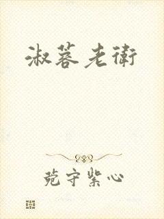 淑蓉老卫封面