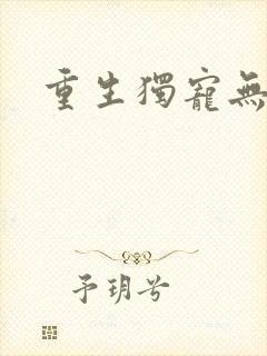 重生独宠无二封面