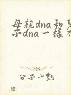 母亲dna和儿子dna一样不