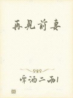 再见前妻
