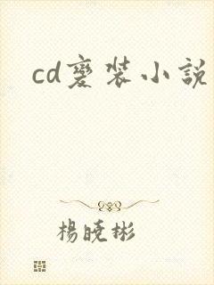 cd变装小说