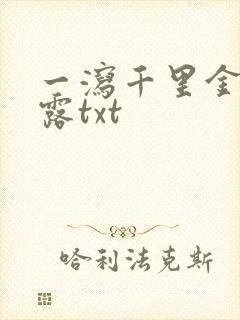 一泻千里金银花露txt