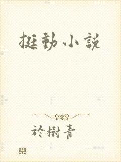 挺动小说