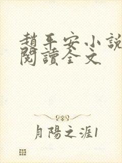 赵平安小说免费阅读全文