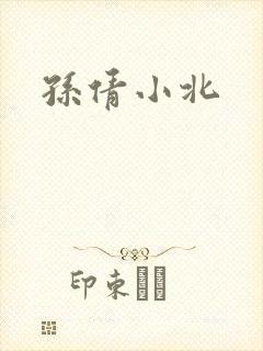孙倩小北封面
