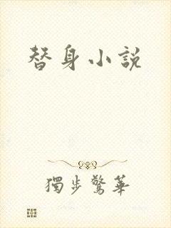 替身小说封面