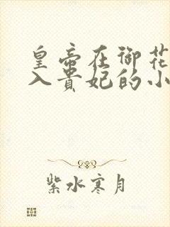 皇帝在御花园进入贵妃的小说封面