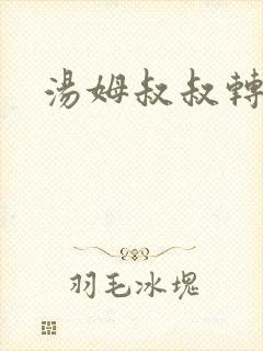 汤姆叔叔转接口