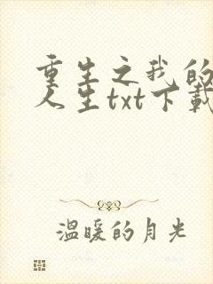 重生之我的书记人生txt下载