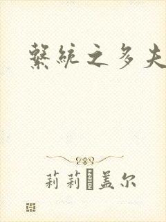 系统之多夫HP封面