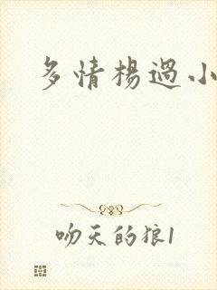 多情杨过小说