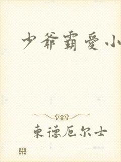 少爷霸爱小丫头