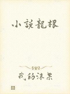 小说龙根