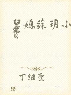儿媳苏玥小说免费