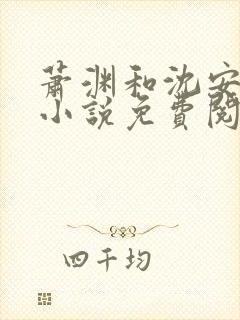 萧渊和沈安安的小说免费阅读封面