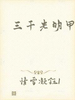 三千光明甲