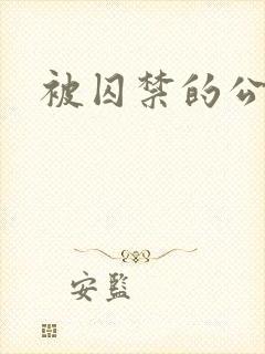 被囚禁的公主