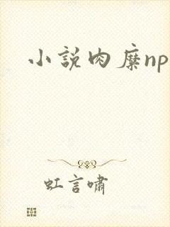 小说肉糜np封面