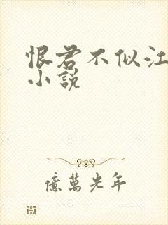 恨君不似江楼月小说