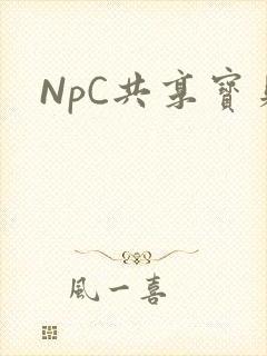 NpC共享宝贝