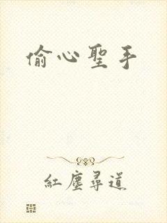 偷心圣手