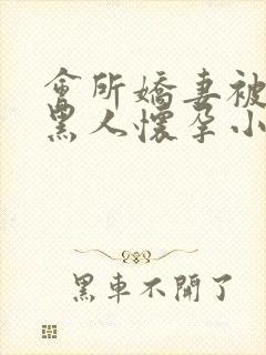 会所娇妻被多个黑人怀孕小说