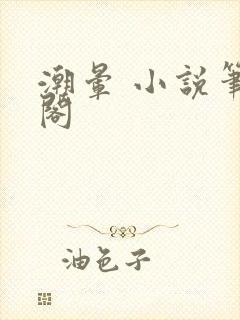 潮晕 小说笔趣阁
