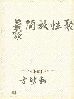 最开放性聚会小说