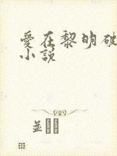 爱在黎明破晓前小说